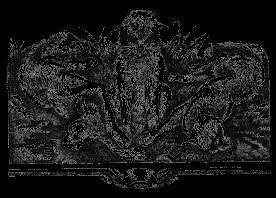 Долгое эхо - _44.jpg