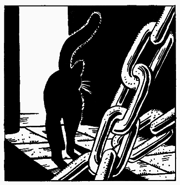 Бойся Кошек - i_007.png