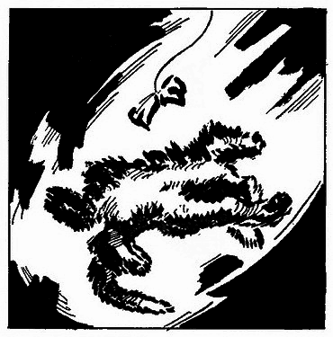 Бойся Кошек - i_015.png