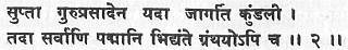 Хатха-йога Прадипика - _201.jpg