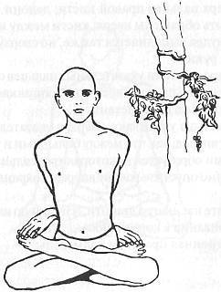 Хатха-йога Прадипика - _76.jpg