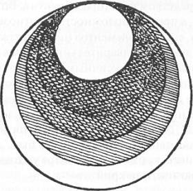 Хатха-йога Прадипика - _288.jpg