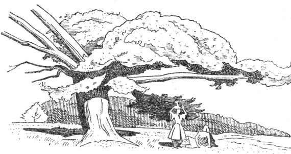 Александр Македонский (Победитель) - i_004.jpg