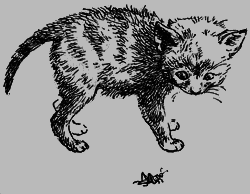 Дайте кошке слово - i_004.png