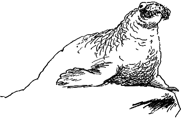 Дайте кошке слово - i_044.png