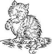 Леди Кошка - pic_1.jpg