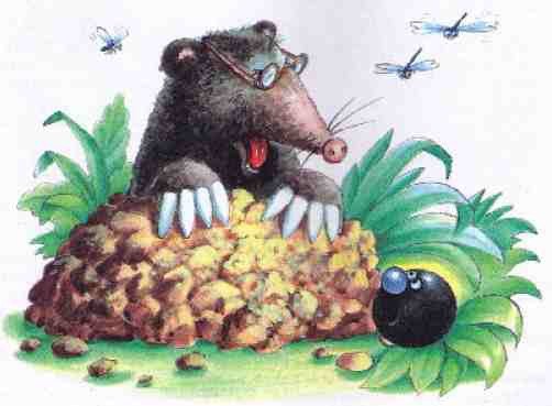 Приключения шахматного солдата Пешкина - i_037.jpg