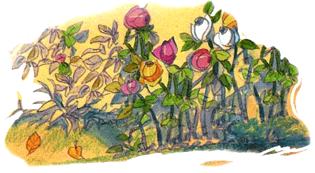 Приключения сдобной Лизы - i_056.png