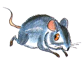 Приключения сдобной Лизы - i_078.png