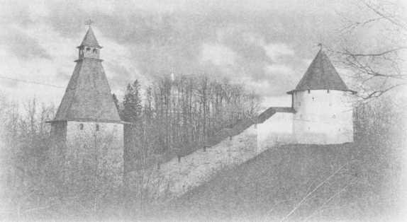 "Небесный огонь" и другие рассказы - i_079.jpg