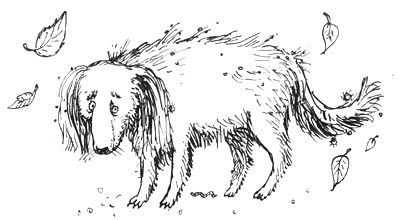 Мохнатый ребенок - i_004.jpg