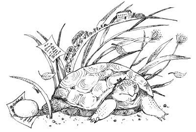 Мохнатый ребенок - i_013.jpg