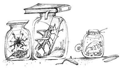 Мохнатый ребенок - i_017.jpg