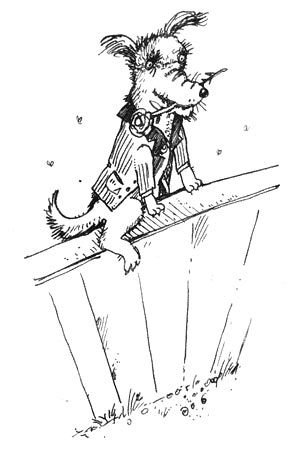 Мохнатый ребенок - i_028.jpg