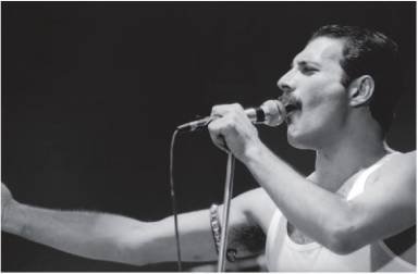 Фредди Меркьюри. Жизнь его словами - i_027.jpg