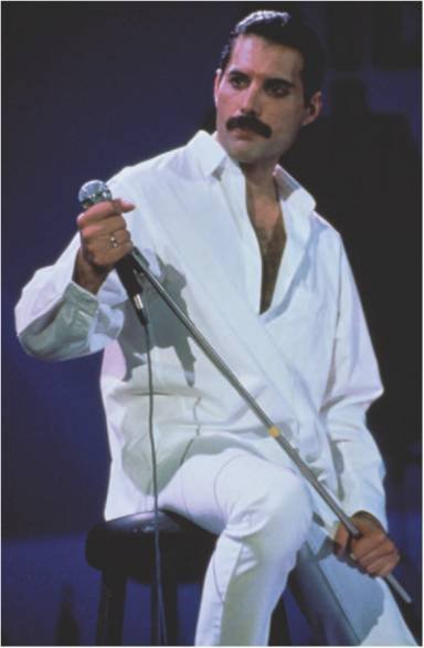 Фредди Меркьюри. Жизнь его словами - i_028.jpg