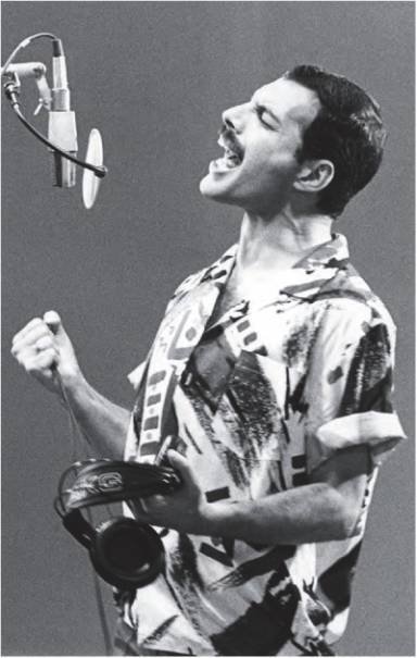 Фредди Меркьюри. Жизнь его словами - i_033.jpg