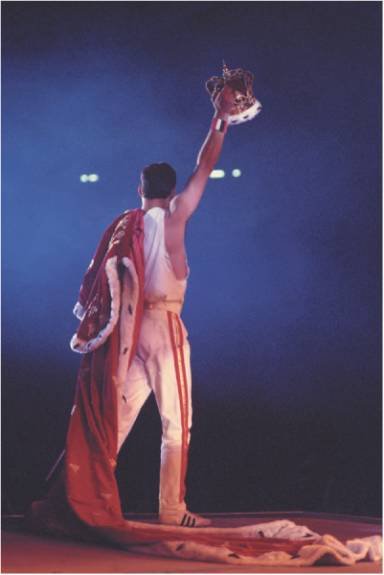 Фредди Меркьюри. Жизнь его словами - i_041.jpg