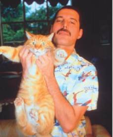 Фредди Меркьюри. Жизнь его словами - i_046.jpg