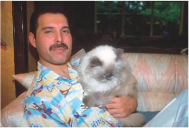 Фредди Меркьюри. Жизнь его словами - i_047.jpg