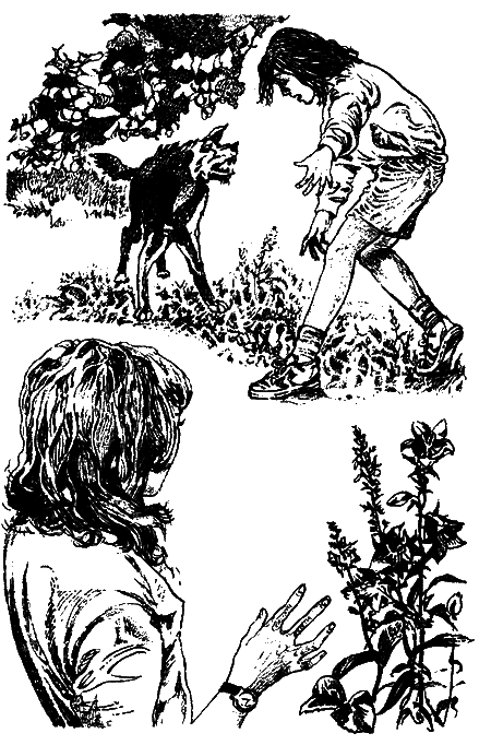 Тропой лесных чудовищ - sc04.png