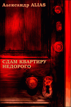 Читать онлайн книгу Сдам квартиру недорого (СИ) автор Книга Сдам квартиру недорого (СИ)