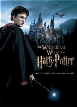 Книга Гарри Поттер и Враг Сокола