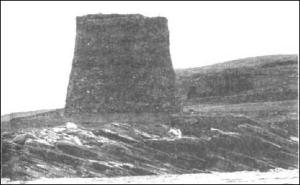 От Ариев до Викингов, или Кто открыл Америку - i_028.jpg