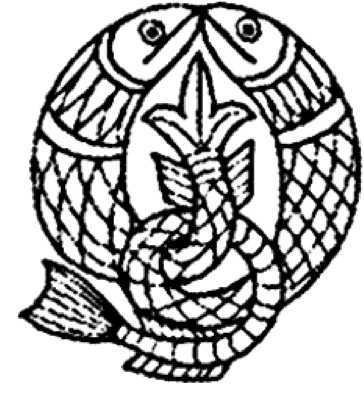 От Ариев до Викингов, или Кто открыл Америку - i_029.jpg