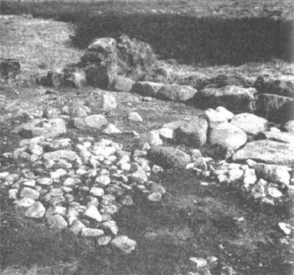 От Ариев до Викингов, или Кто открыл Америку - i_038.jpg