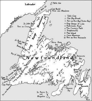 От Ариев до Викингов, или Кто открыл Америку - i_039.jpg