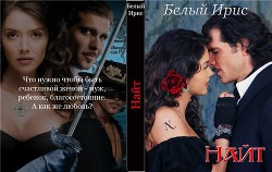 Книга Найт (СИ)