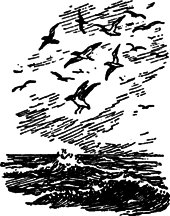 Руал Амундсен - image048.png