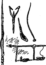 Руал Амундсен - image086.png