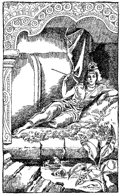 В стране райской птицы. Амок. - i_011.png