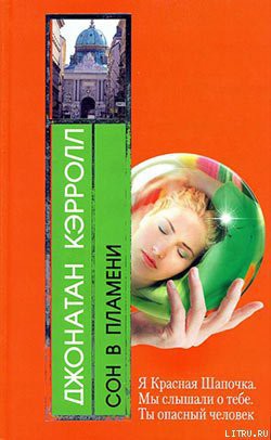 Книга Сон в пламени
