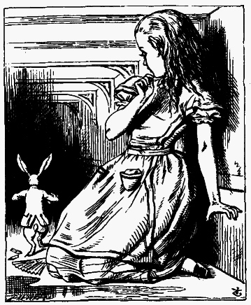 Приключения Алисы в стране чудес (Пер. Н.М. Демуровой) - bdtofb2im_7.png