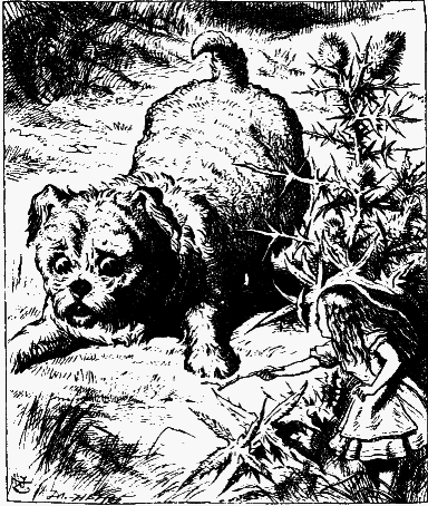 Приключения Алисы в стране чудес (Пер. Н.М. Демуровой) - bdtofb2im_15.png