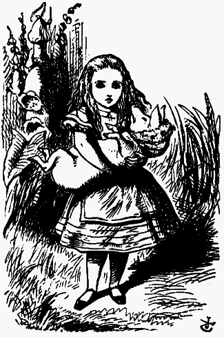 Приключения Алисы в стране чудес (Пер. Н.М. Демуровой) - bdtofb2im_21.png