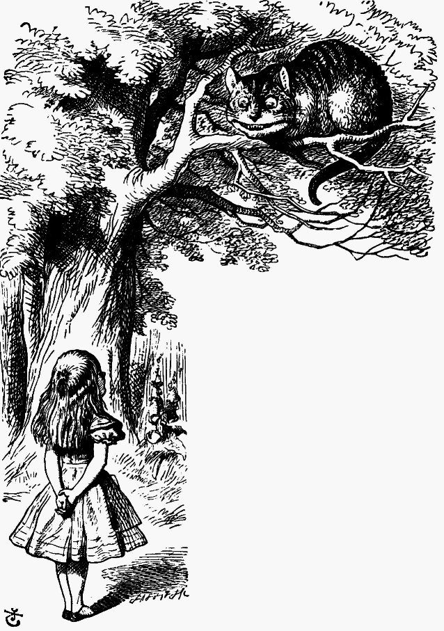 Приключения Алисы в стране чудес (Пер. Н.М. Демуровой) - bdtofb2im_22.png