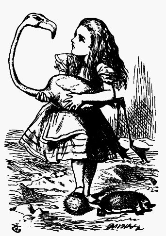 Приключения Алисы в стране чудес (Пер. Н.М. Демуровой) - bdtofb2im_29.png