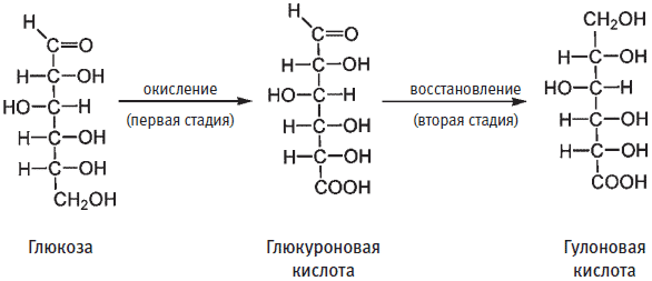 Пуговицы Наполеона. Семнадцать молекул, которые изменили мир - i_041.png