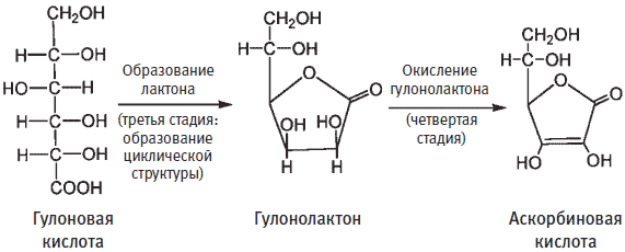 Пуговицы Наполеона. Семнадцать молекул, которые изменили мир - i_042.png