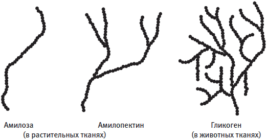 Пуговицы Наполеона. Семнадцать молекул, которые изменили мир - i_073.png