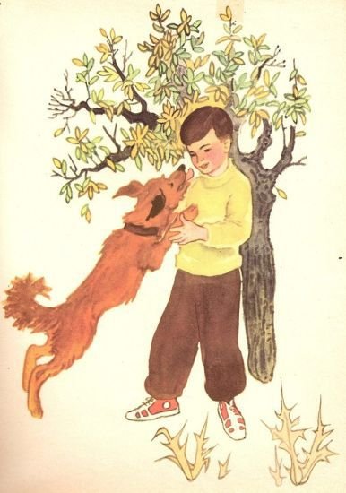 Бухта Барахта - i_016.jpg