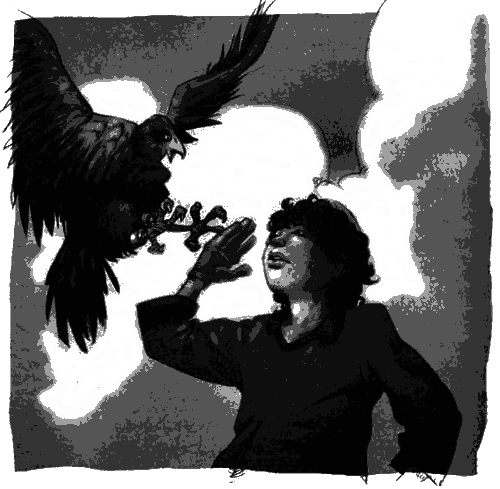 Джено и черная печать мадам Крикен - img08.png