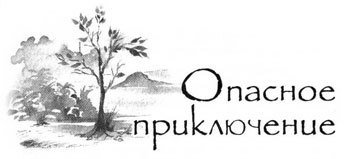 Образование Маленького Дерева - i_029.jpg