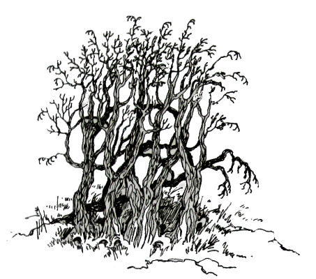 Амулет Судьбы - i_007.png