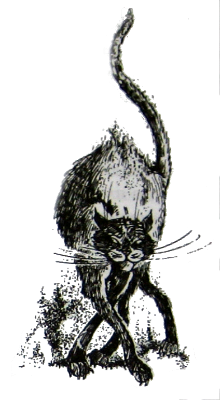 Амулет Судьбы - i_011.png