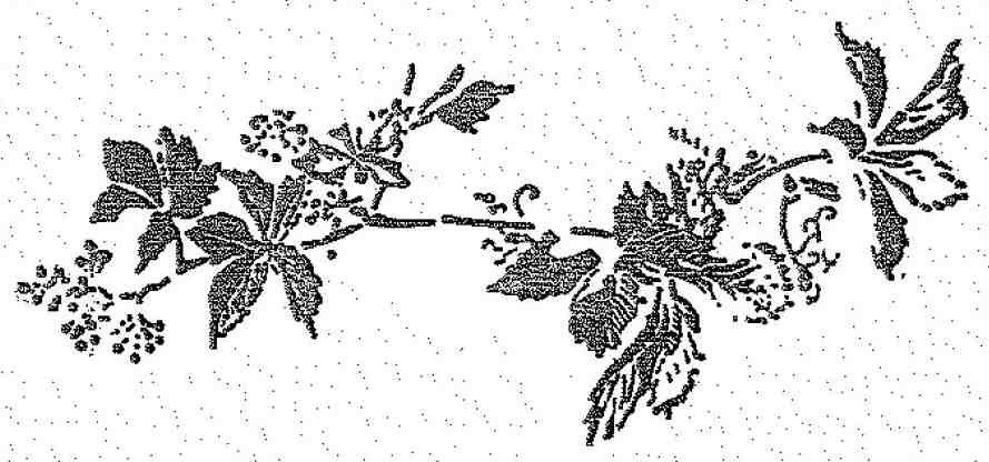 Красношейка - i_007.jpg